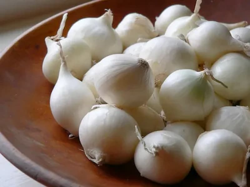تصویر 2 از پیاز استخوانی روشن و طبیعی برای آشپزی جذاب